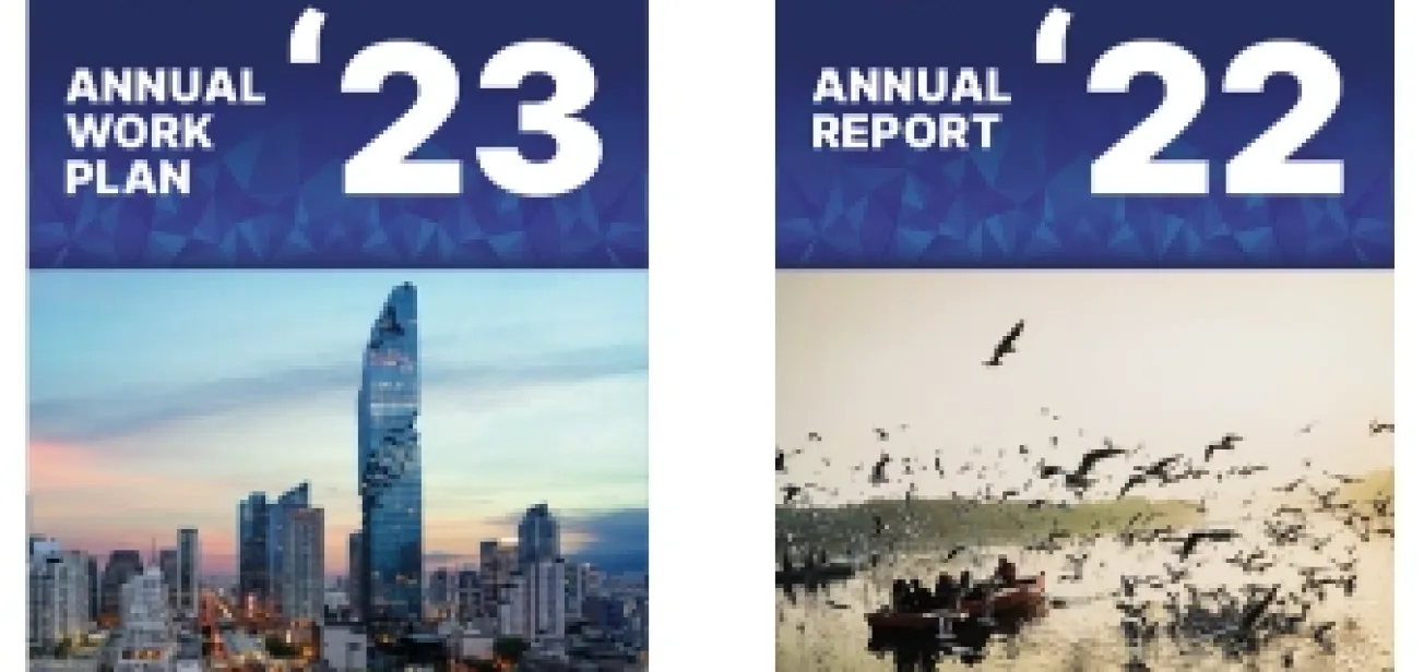 Work Plan and Annual Report image